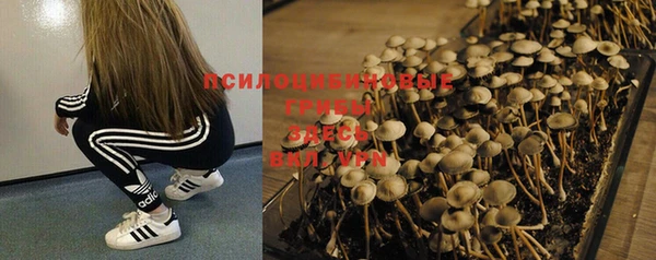 эйфоретик Абаза