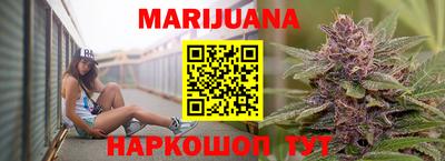 молекула духа Камышлов