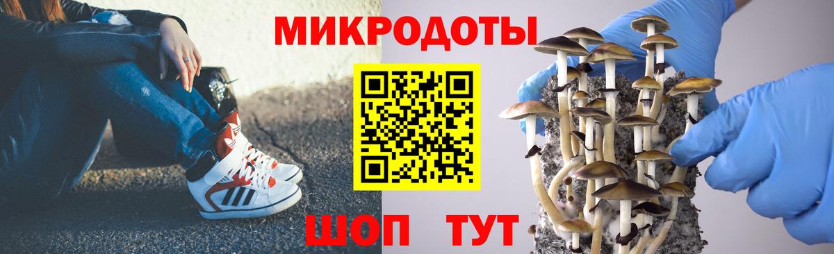 Псилоцибиновые грибы Cubensis  Вход с VPN  Ртищево 